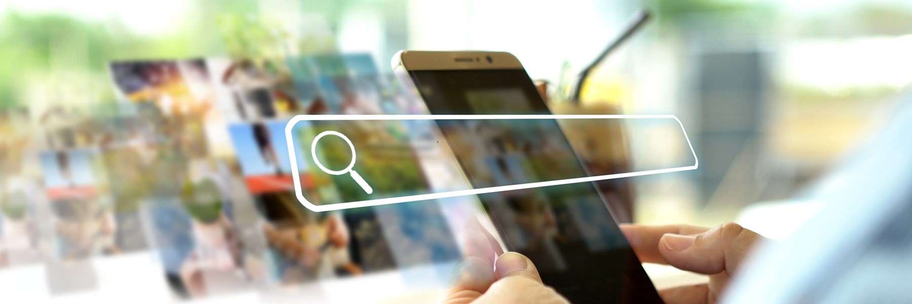 Hand Using Phone With Searching Bar Screen Data Networking Concept